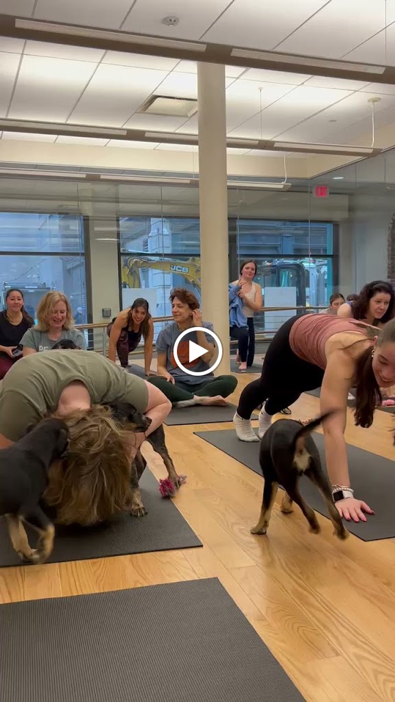  Pups&Yoga
