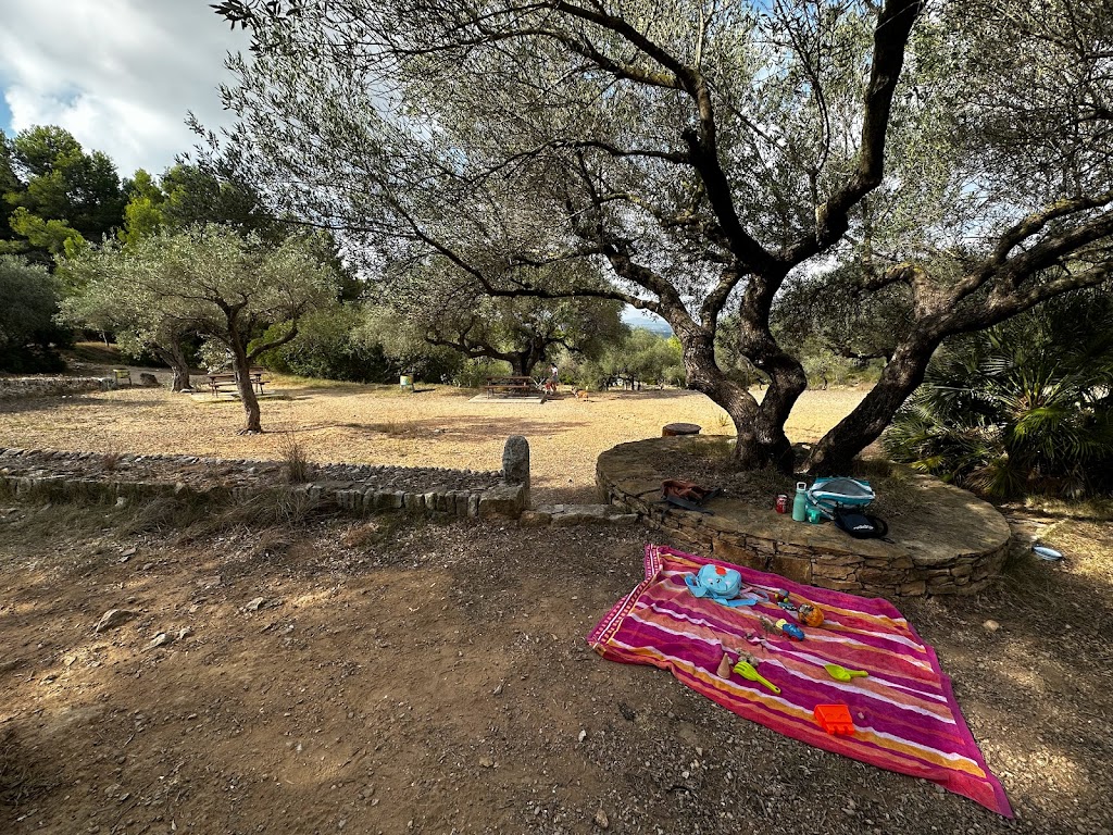 Oliveres Mil*lenaries de Vinaros