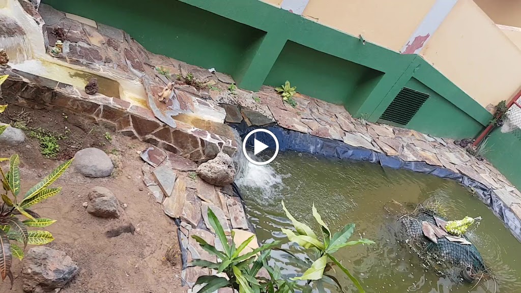 CEIP Fernando Leon y Castillo