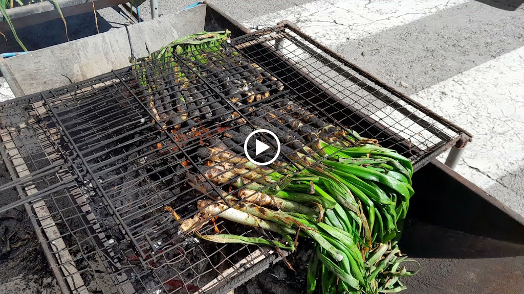 Nostre Bar Alboraya — Videos