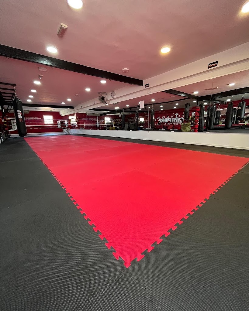 Wolves KickBoxing Club