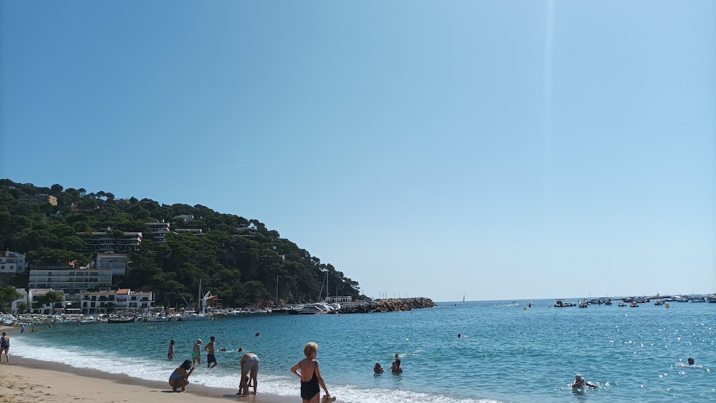 [P] Zona de aparcamiento