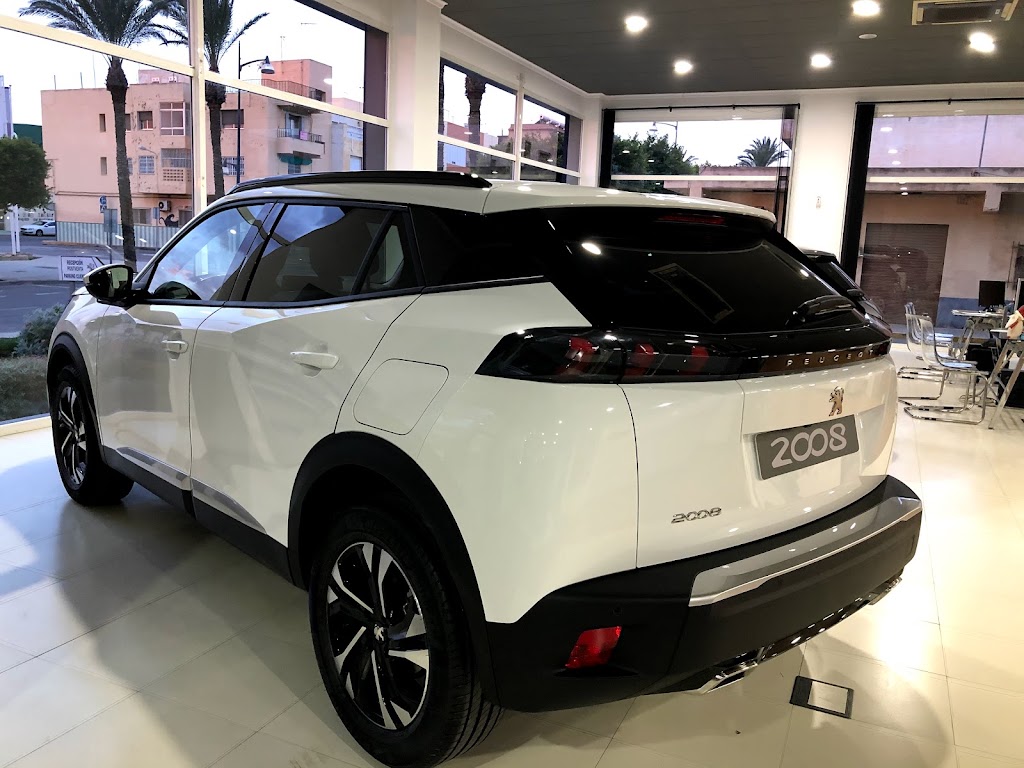 PEUGEOT FRANCISCO GONZALEZ S. L. (CONCESIONARIO OFICIAL PEUGEOT EJIDO) — Del propietario