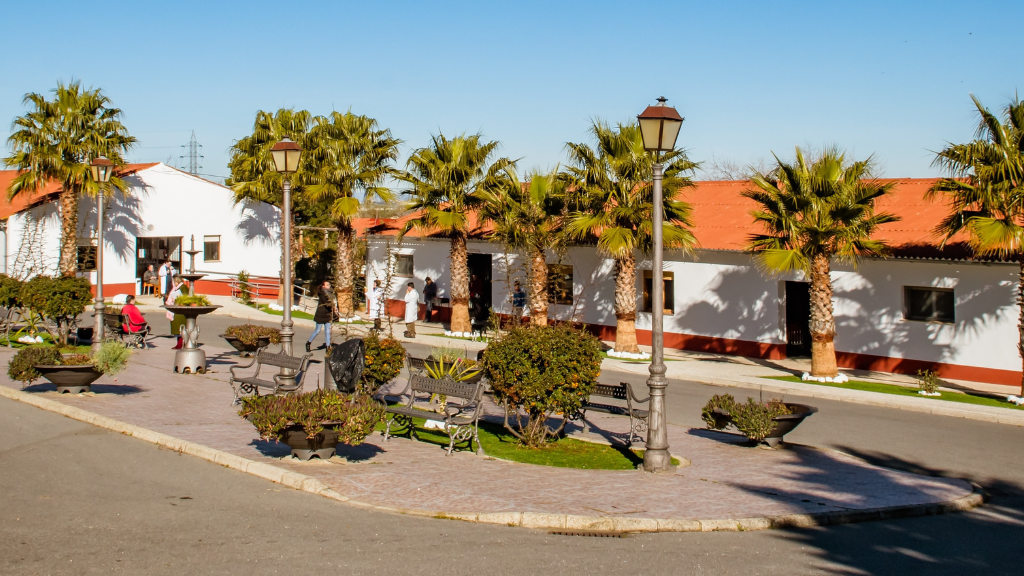 Centro de dia ocupacional de Fundacion PRODE