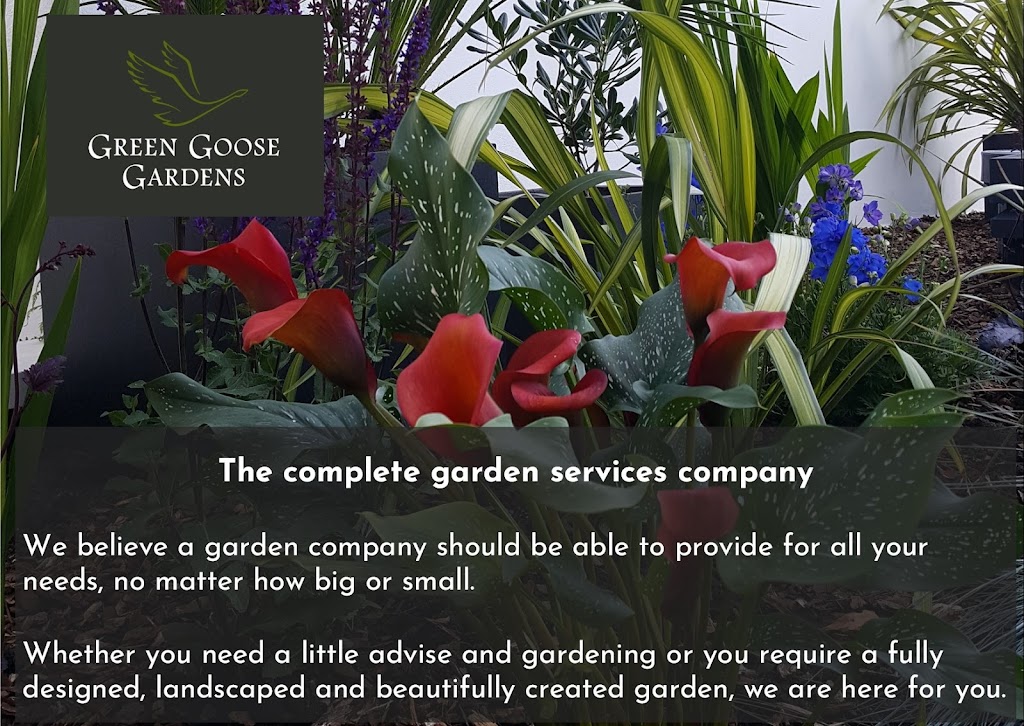 Green Goose Gardens in Brighton