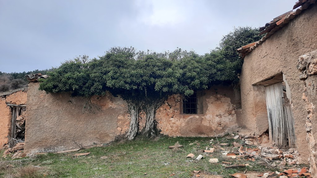 El Encebrico