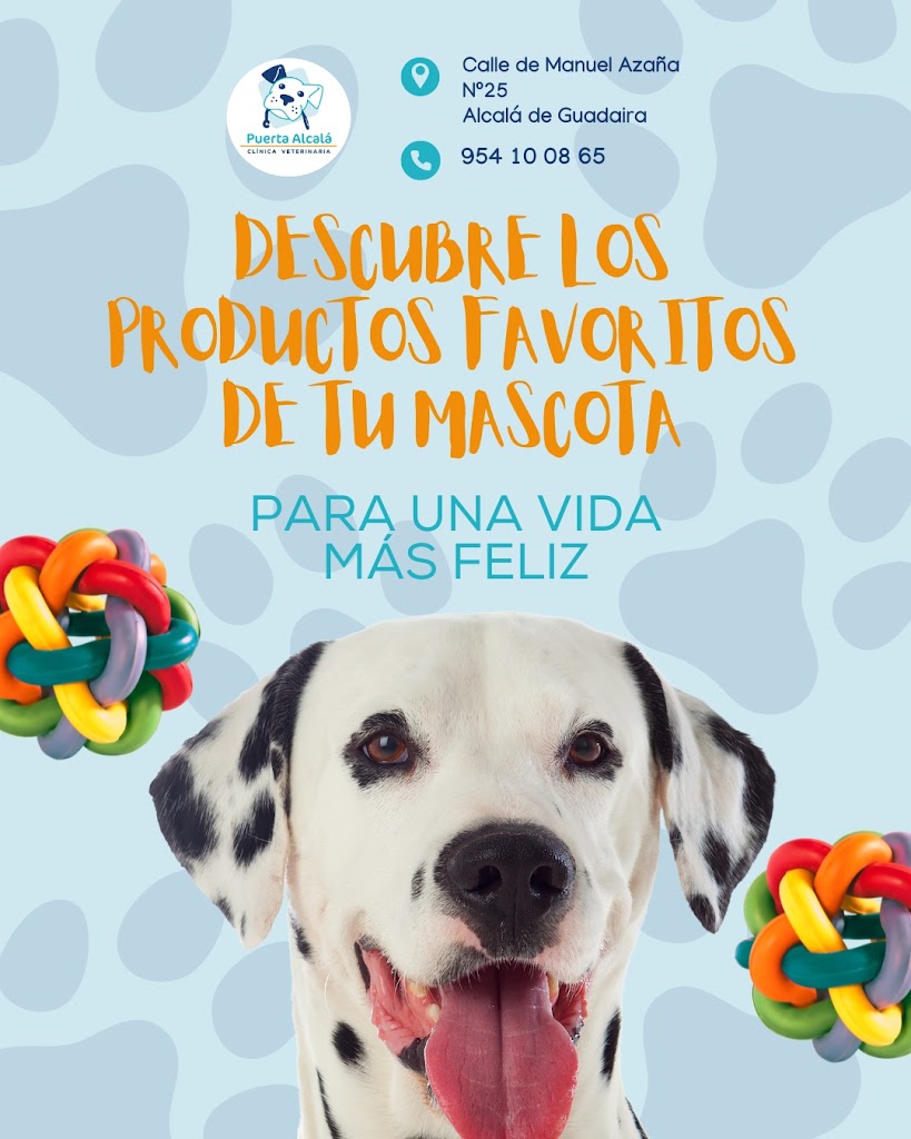 Clinica Veterinaria Puerta Alcala — Mas recientes