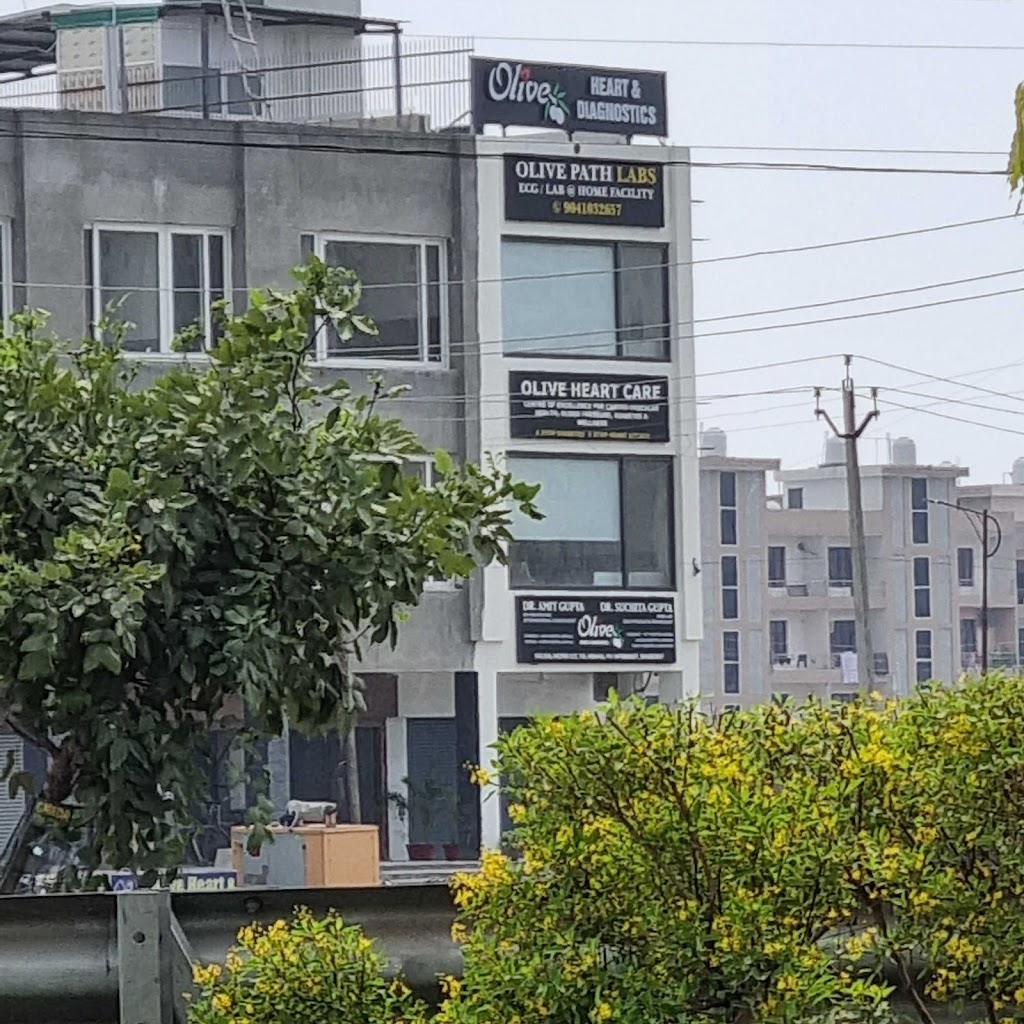 Dr. Cardiologist Heart Doctor Heart Specialist Holter Test Ecg Echo Test Eecp Therapy