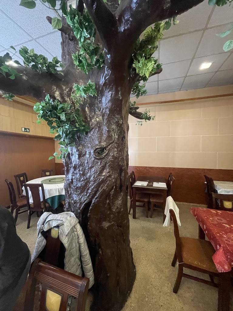 Restaurante Chino Nou Mon — Ambiente