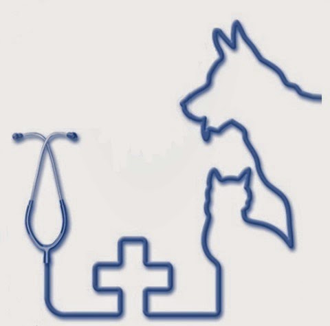 Animal's Can Sant Joan — Del propietario