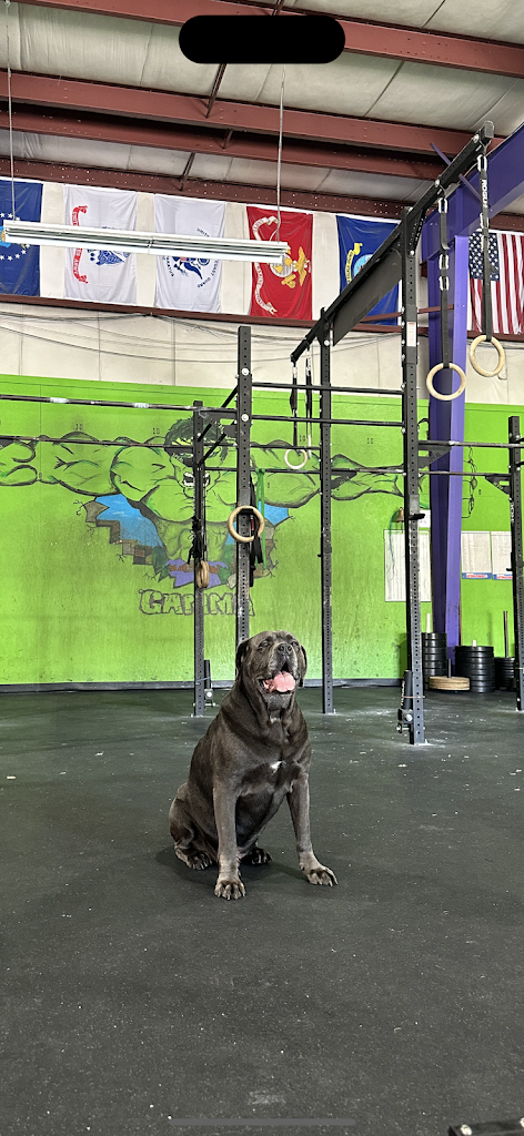  Crossfit Gamma