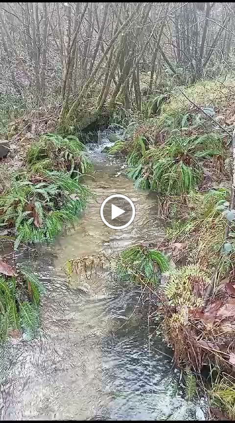 Fervenza de Ouzande — Videos