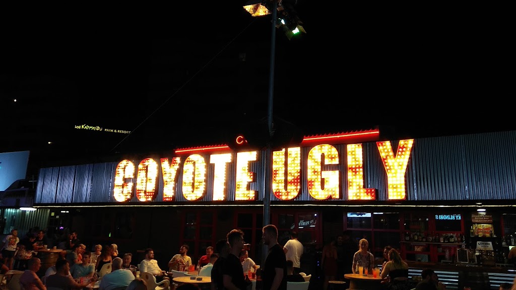 Bar Coyote