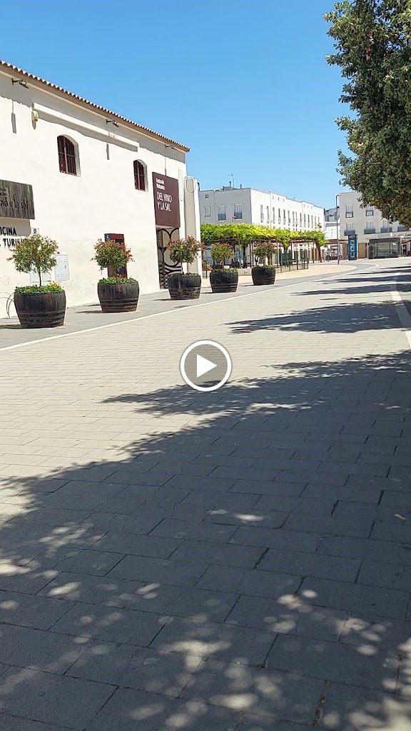 Aparcamiento de bicis — Videos