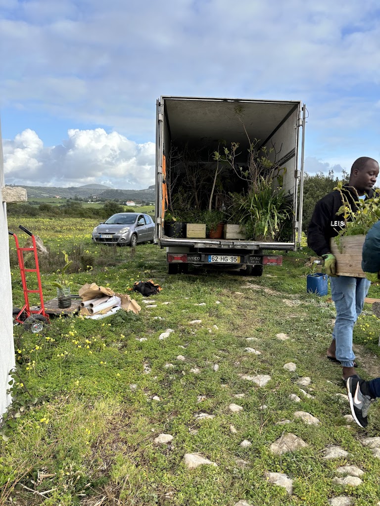 Linhas de Torres Vedras