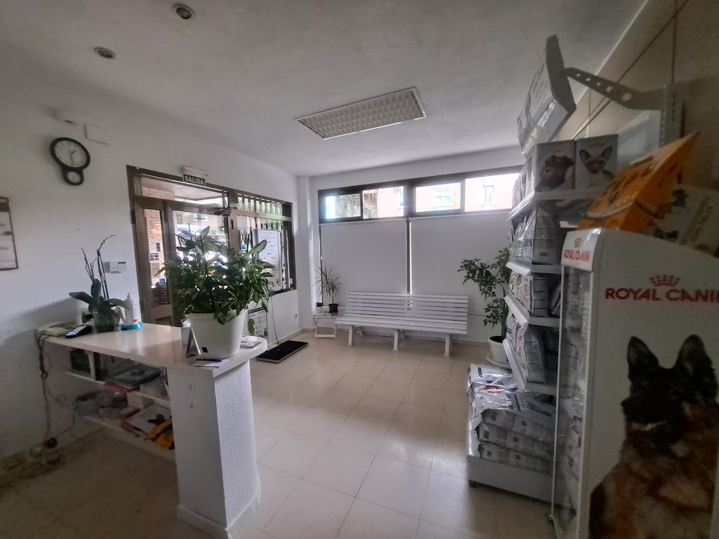 Centro Veterinario Eduna — Perro