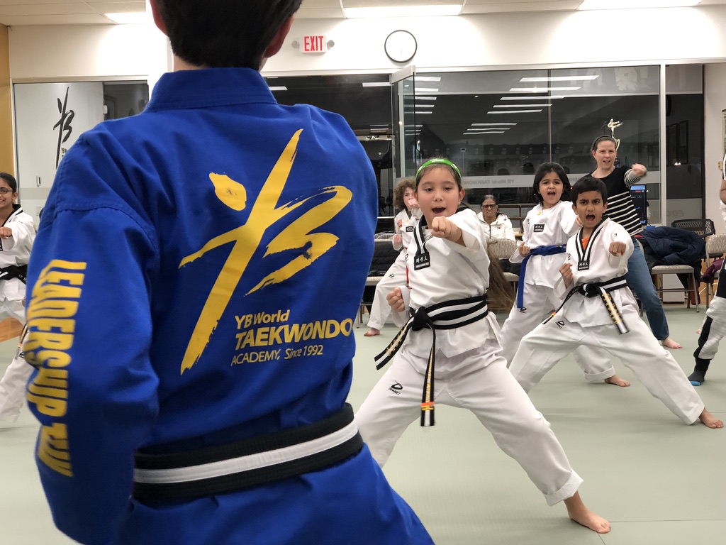  YB World Taekwondo Academy | Martial Arts, Hope Street, Stamford