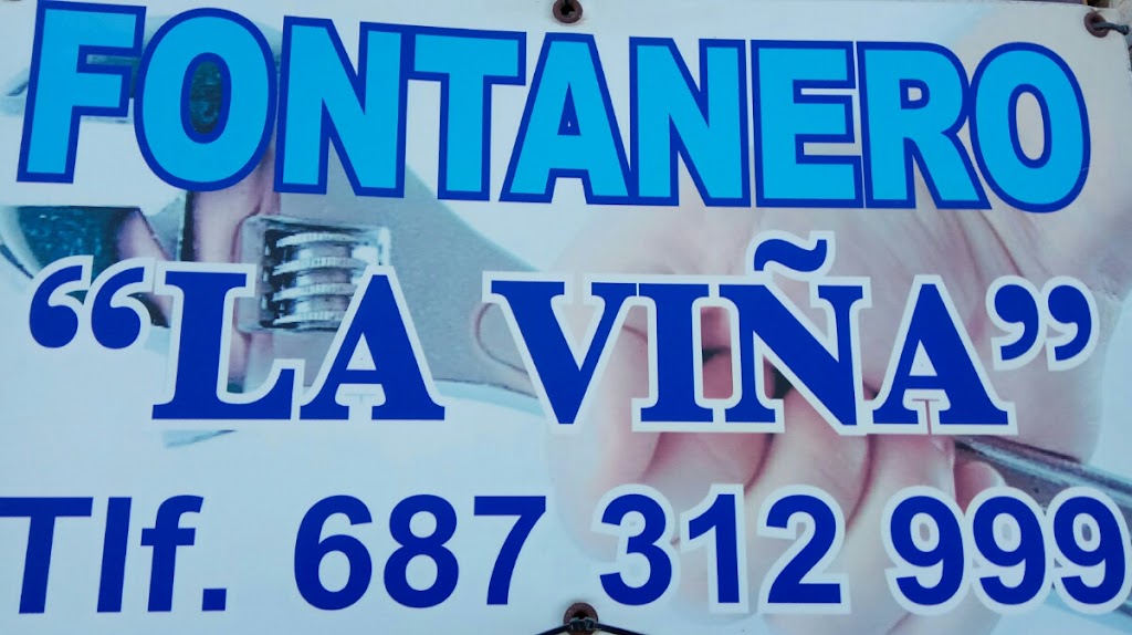 Fontanero de la vina, Jose Francisco Campoy Navarro