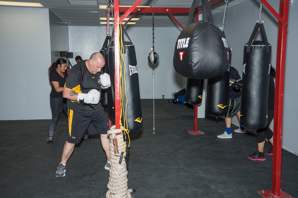  Sweet Science of Boxing