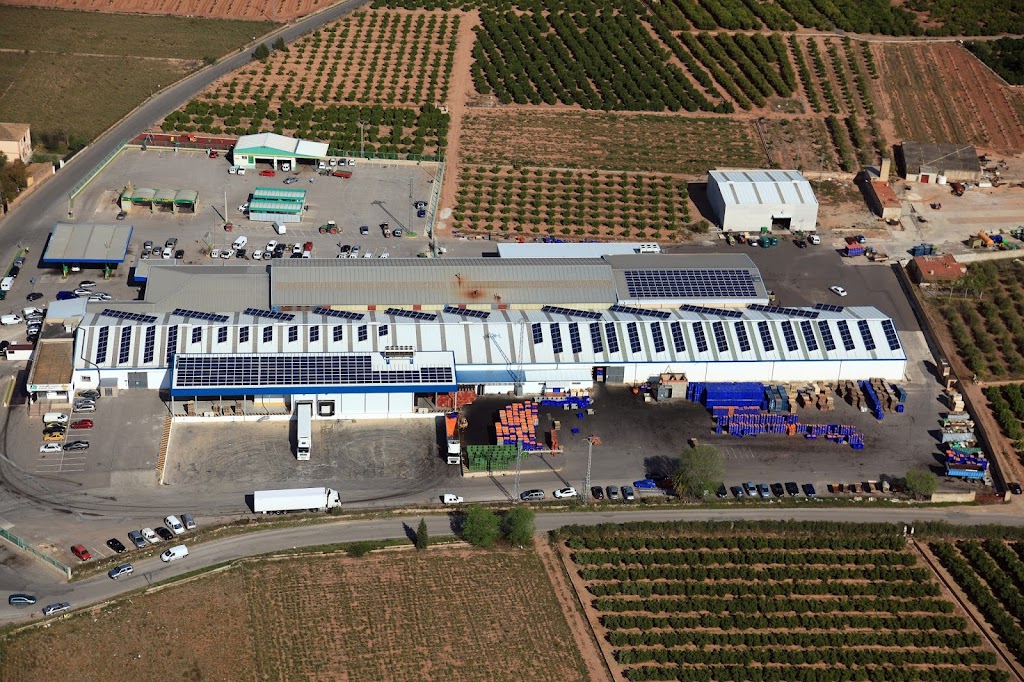 COABE * Cooperativa Agricola de Betera, Coop.V.