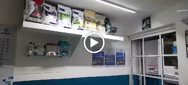 Animal Center — Del propietario