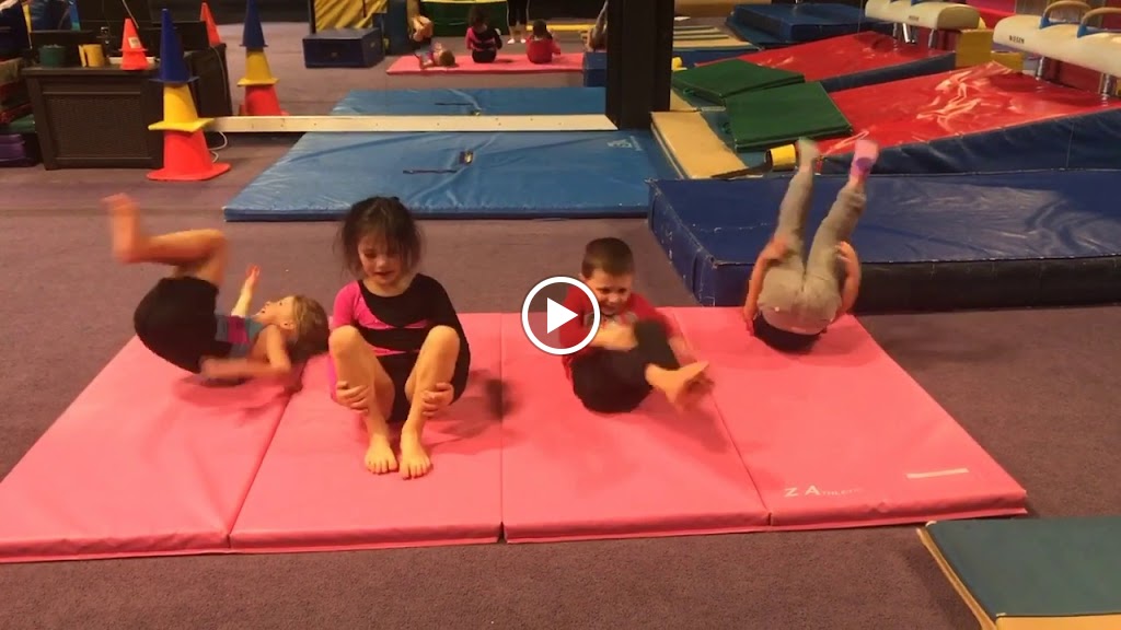  LoCo Gymnastics Club Ashburn /NVGA Gymnastics