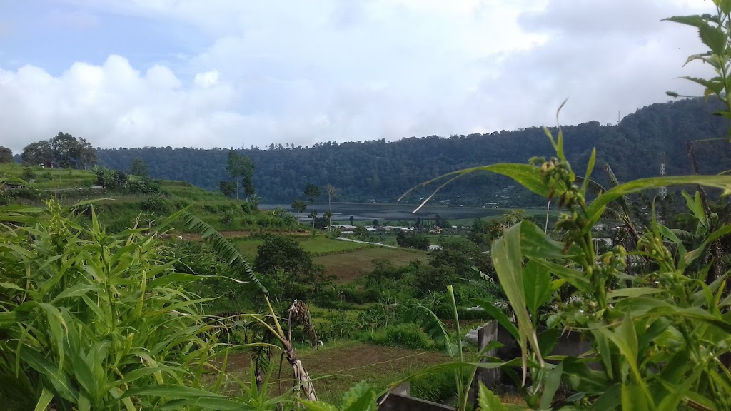 Bali Berry Camping Ground