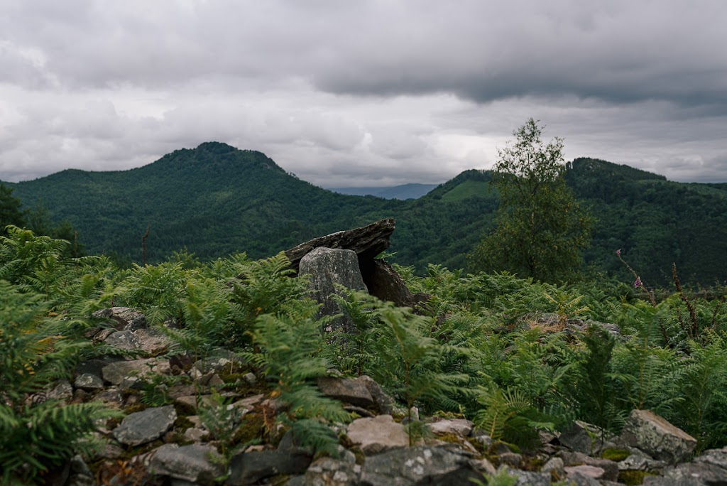 Hernani ezagutu/Plazara gunea