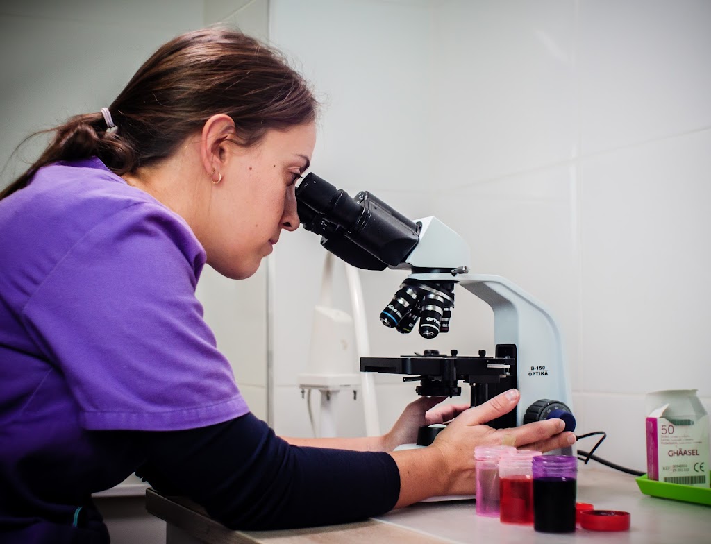 Clinica Veterinaria Plaza la Virgen Cullera