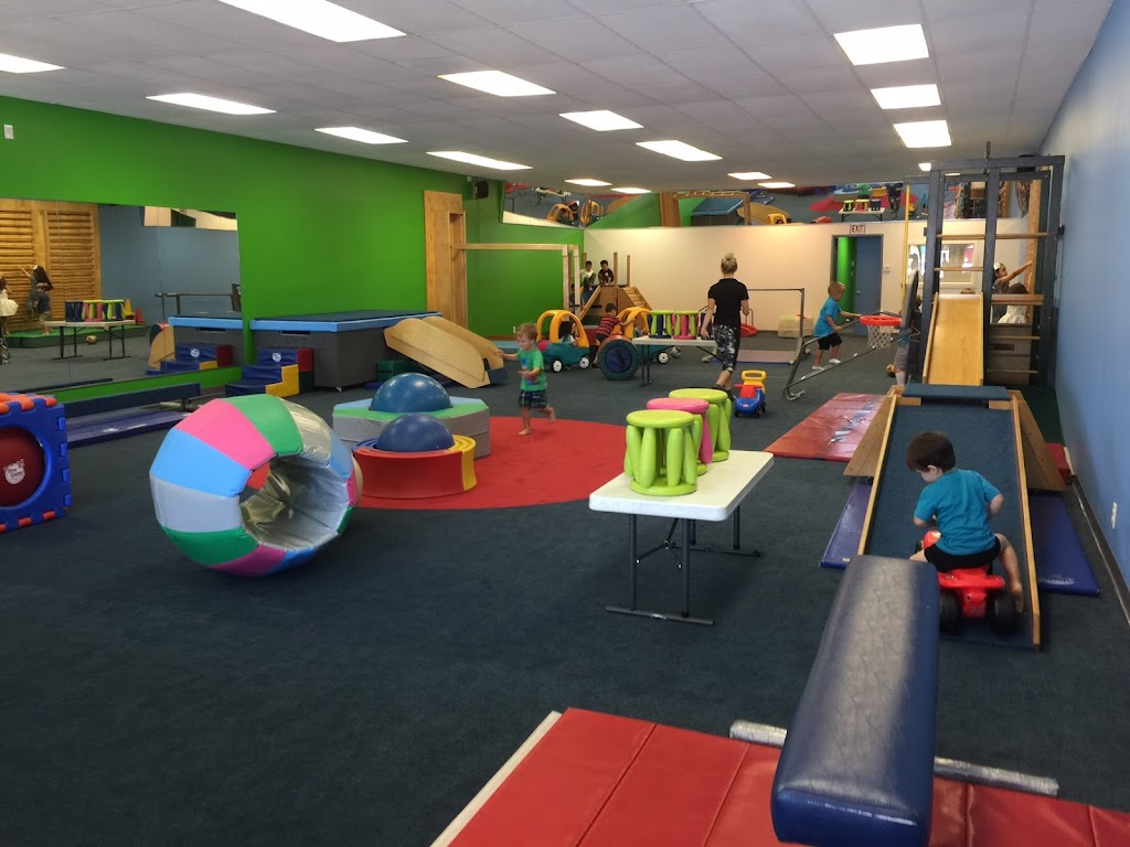  My Gym Children's Fitness Center