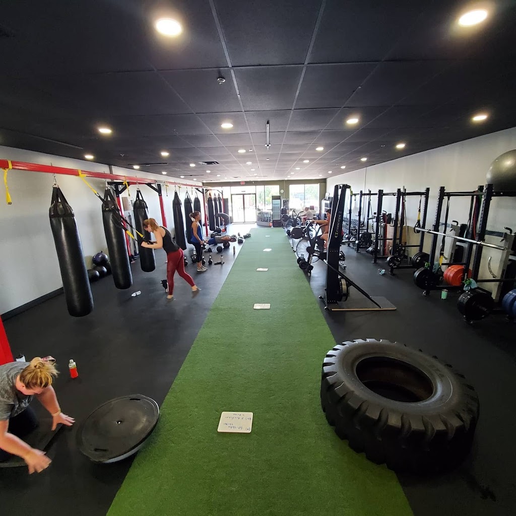  TREIGN Strength & Performance