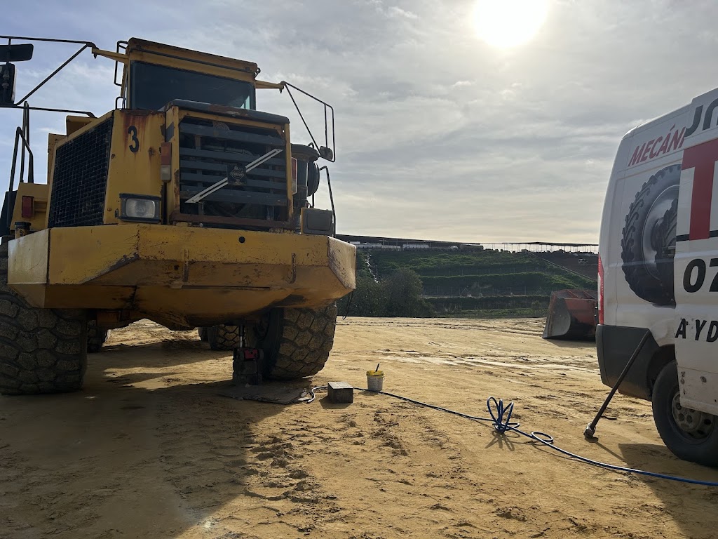 Neumaticos Cruces Torres