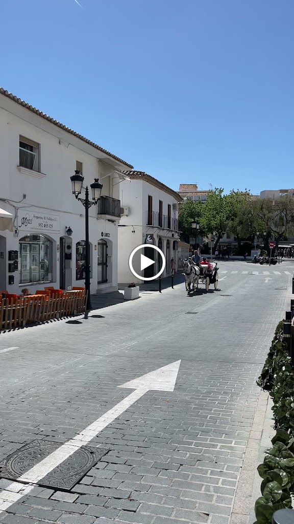 Tomillo Limon — Videos