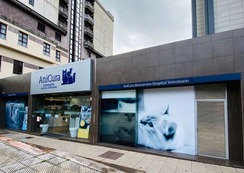 AniCura Buenavista Hospital Veterinario