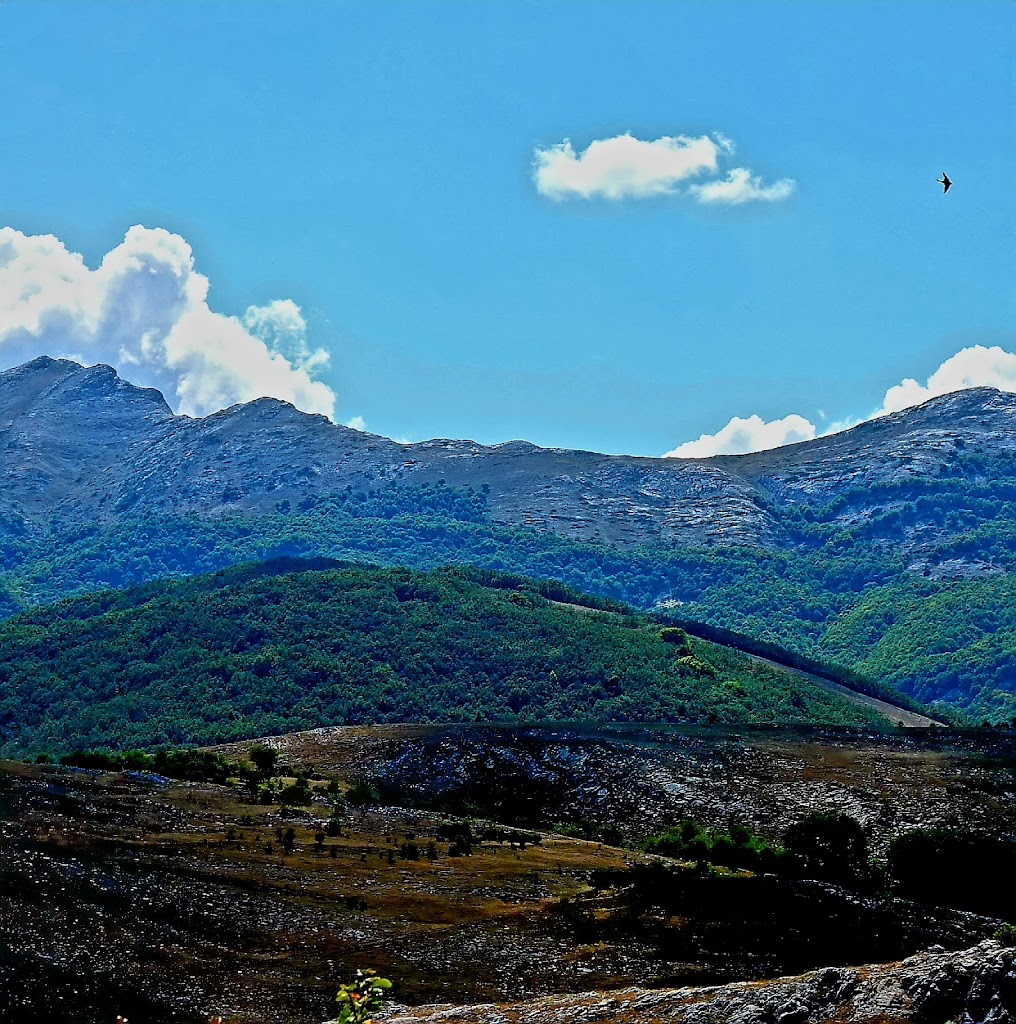 Senda del Gigante del Valle Estrecho