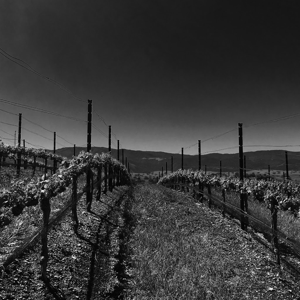 Field