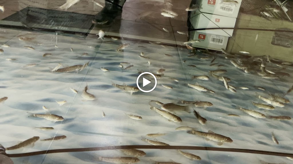 Nam Nam fish spa
