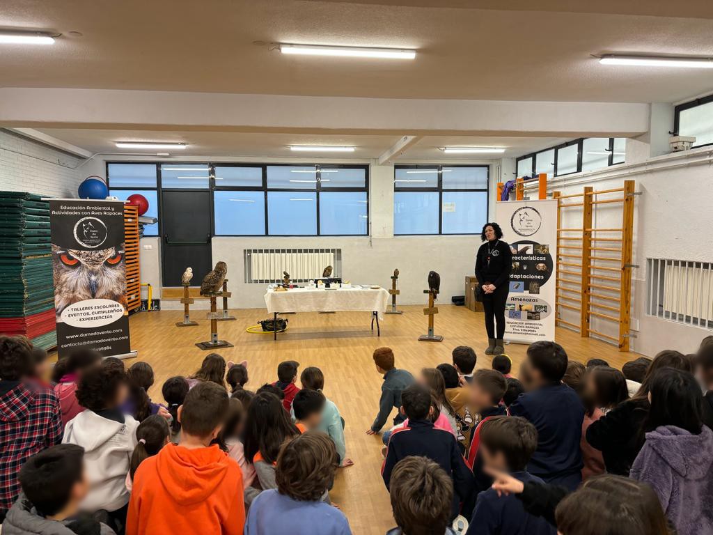 DAMA DO VENTO, Educacion Ambiental y Actividades con Aves Rapaces