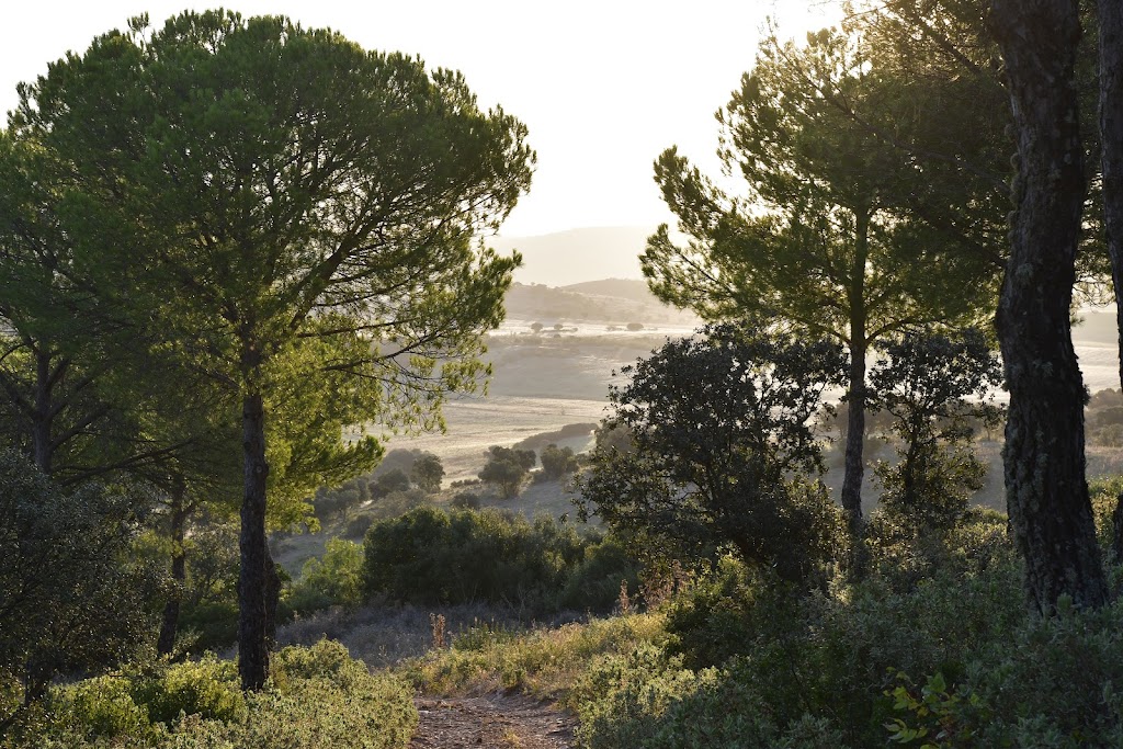 Sierra de Bienvenida
