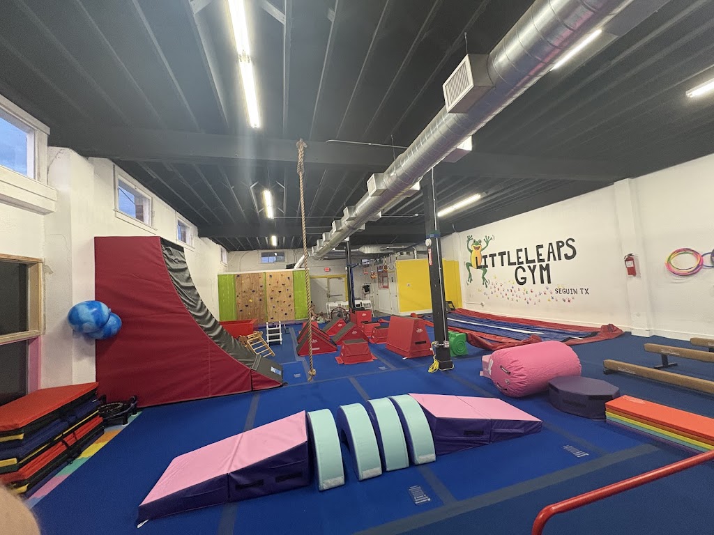  Little Leaps “A Kids Gym”