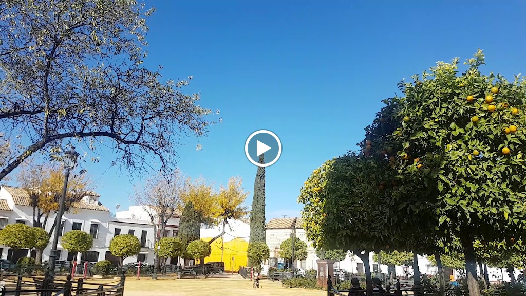 Cafe Ukelele — Videos