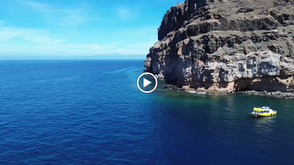 Yellow Boat Mogan. Boat Trip Gran Canaria — Del propietario