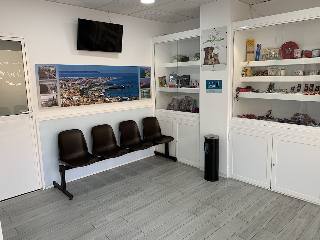 vet Clinica veterinaria — Del propietario