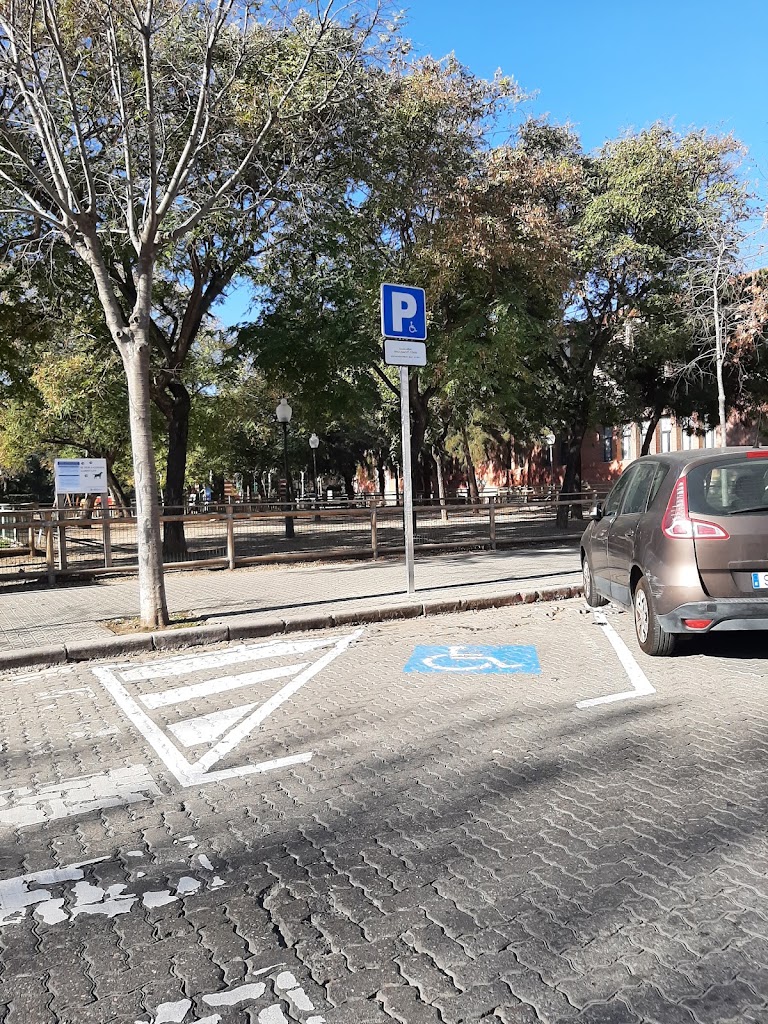 Aparcamiento de Minusvalidos — Signo