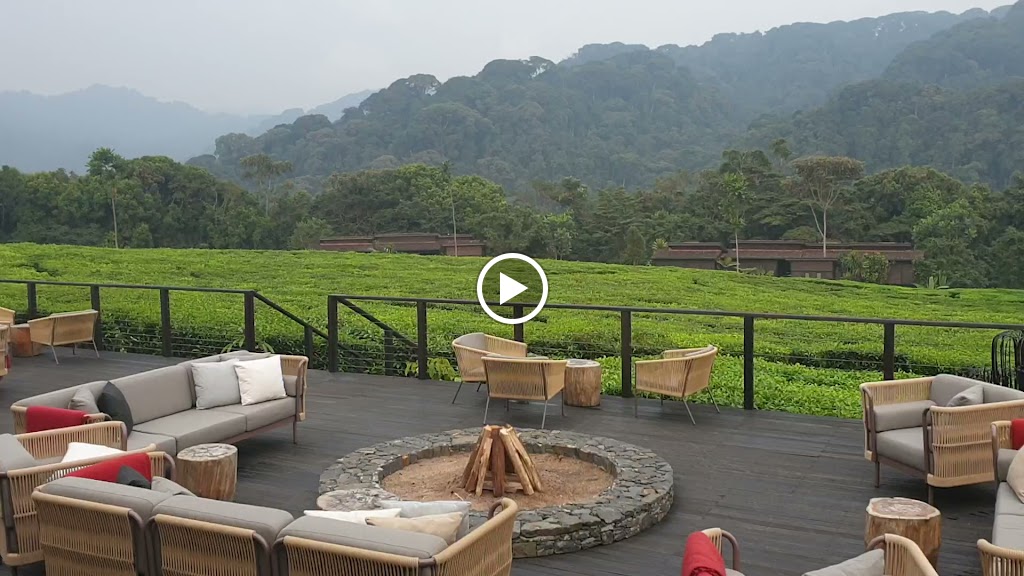 Videos
