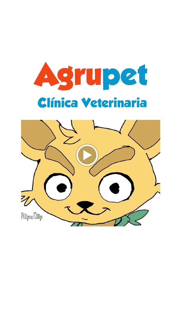 Vídeos