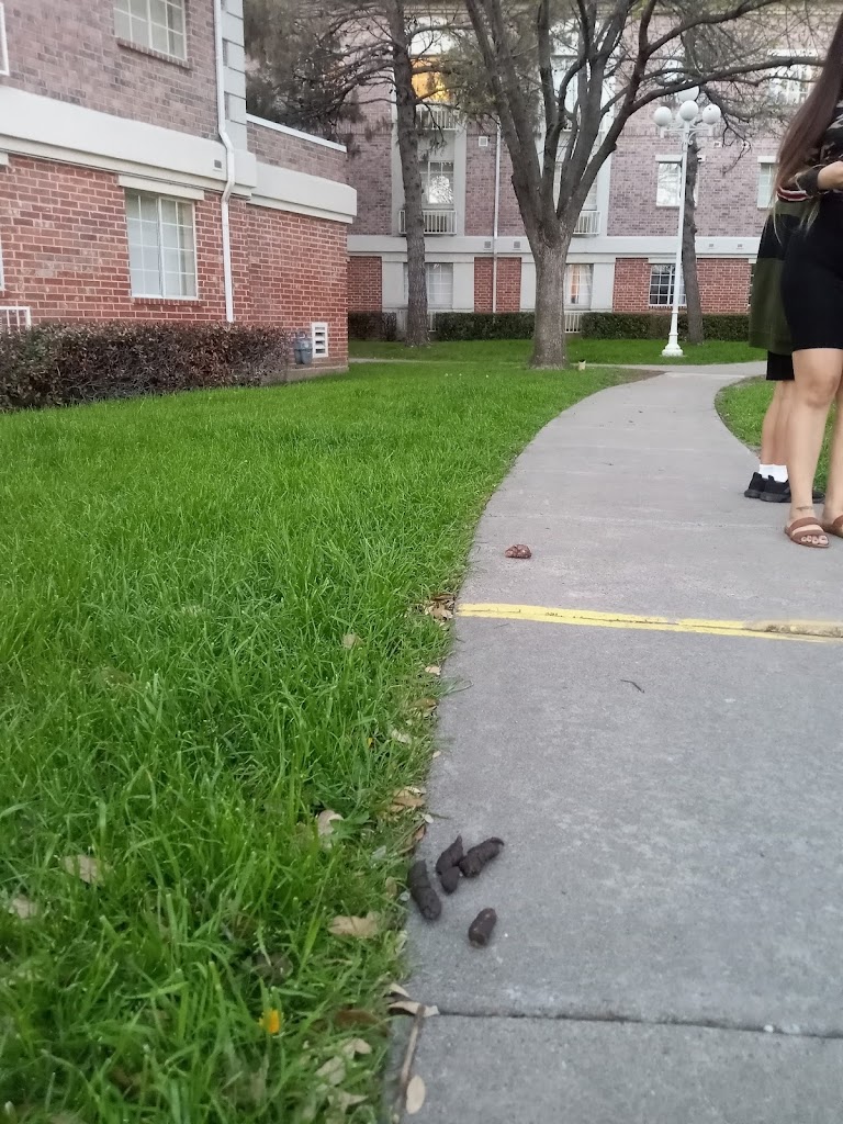 Budget Suites of America