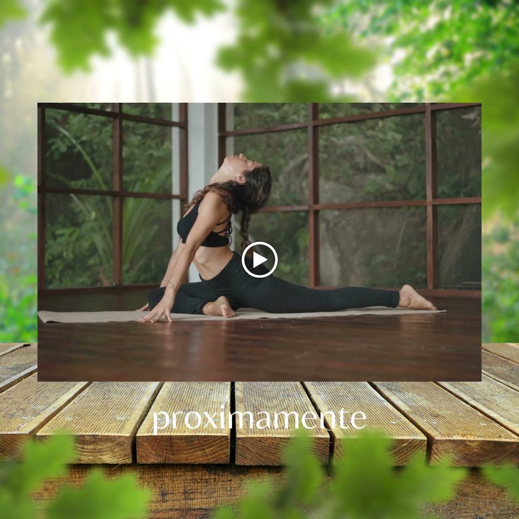 Zenda Bienestar — Videos
