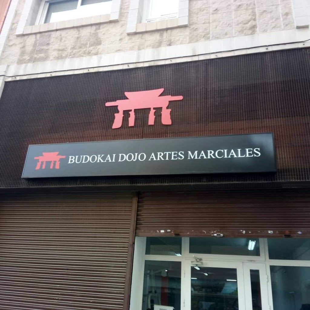 Budokai Dojo — Del propietario