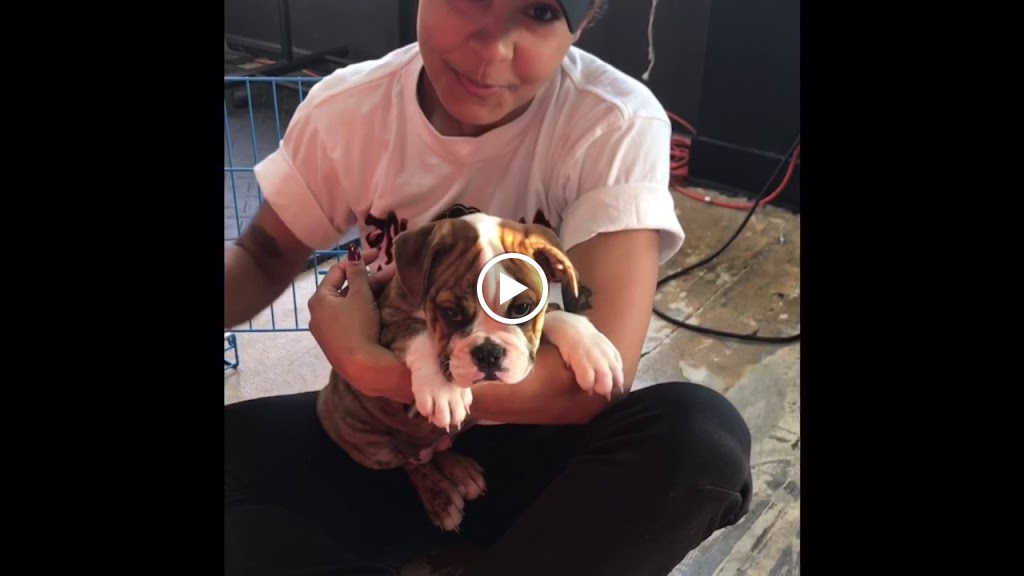  Powerhouse Boxing and Kickboxing